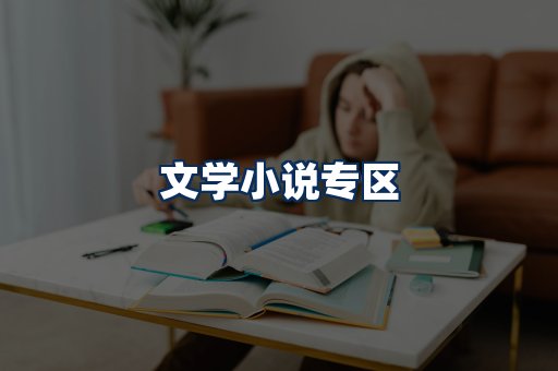 文学小说PDF展示